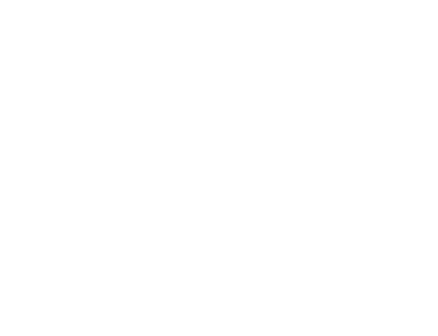 AWS Partner logo